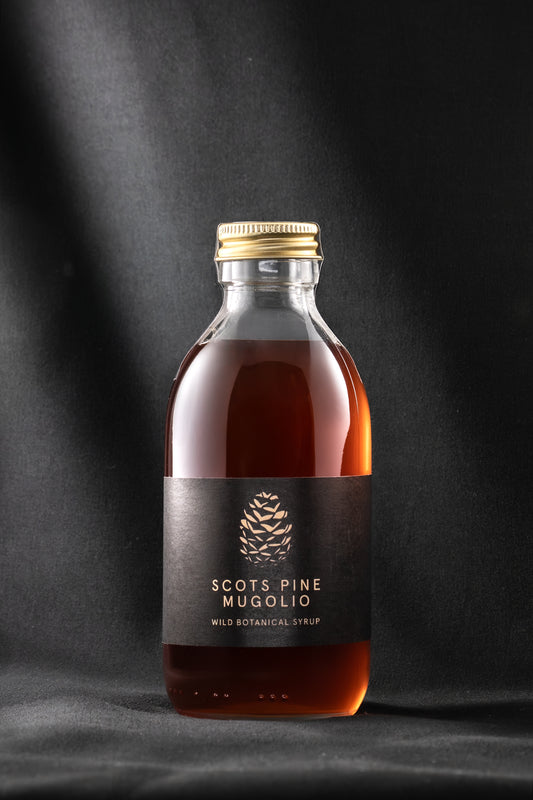 A bottle of Scots Pine Mugolio syrup with a dark golden color visible through the transparent glass. The label displays the product name and the foraging of pine cones.