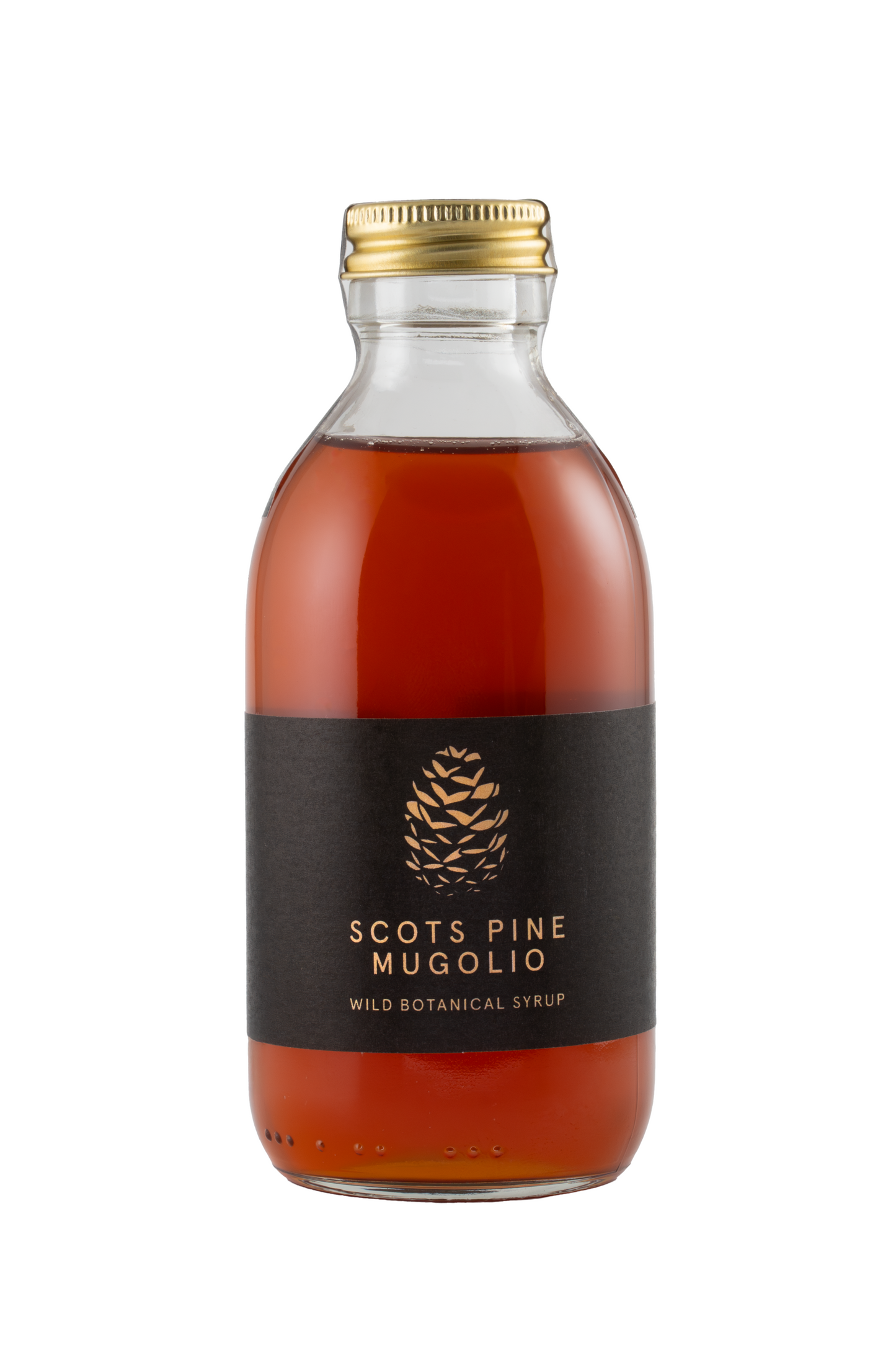 Scots Pine Mugolio