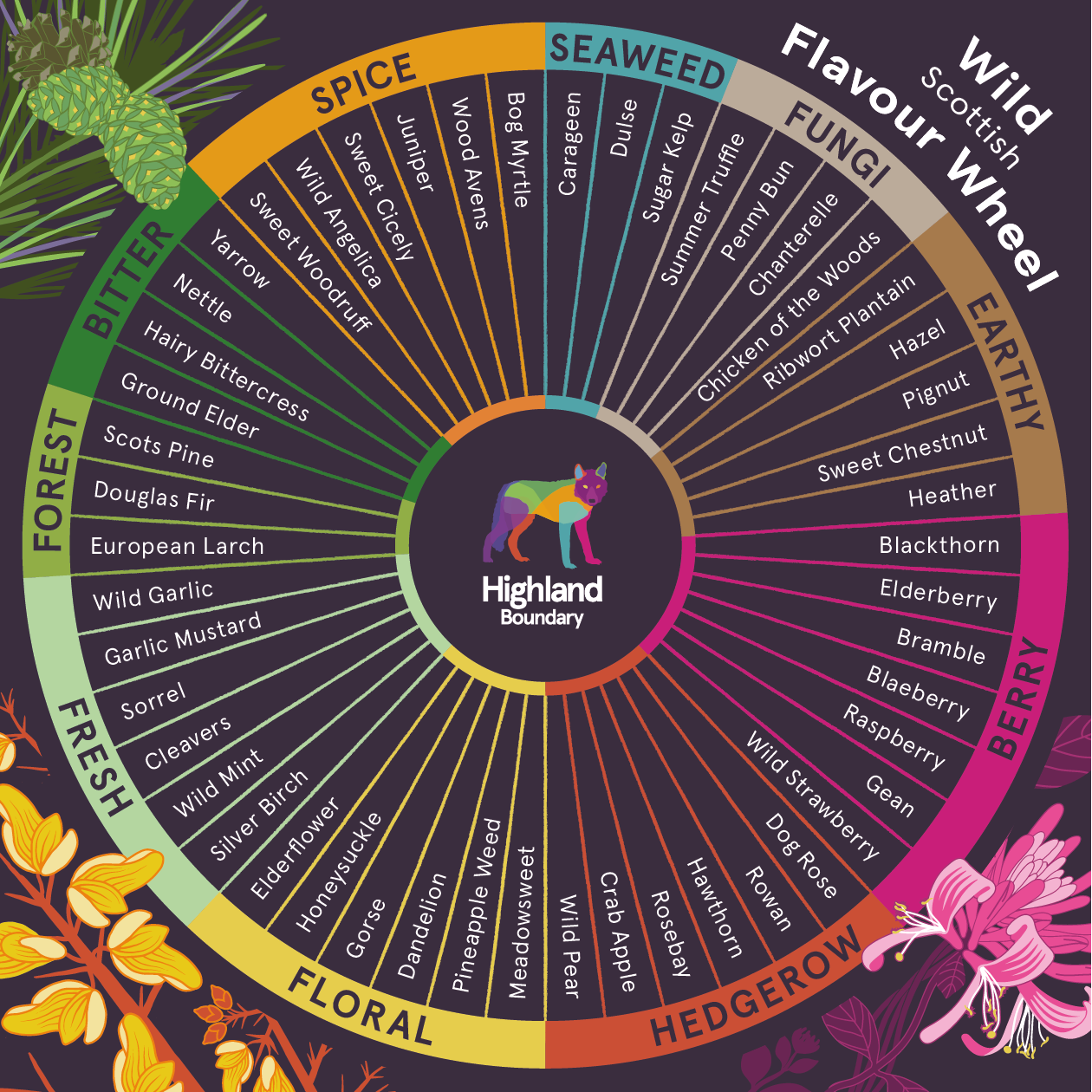 Flavour wheel background