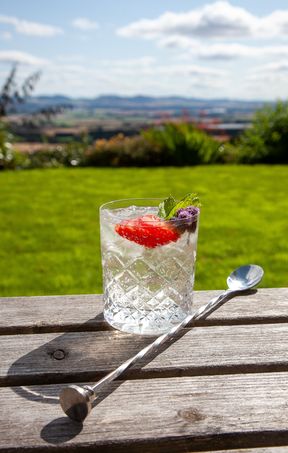 Lallybroch Garden - Outlander themed cocktail