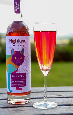 Sloe Fizz