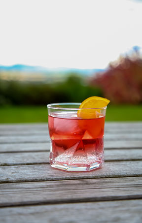 Sloe Spritz