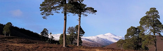 Winter walking in Perthshire