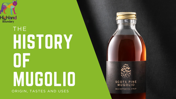 Mugolio: Origin, Taste and Uses