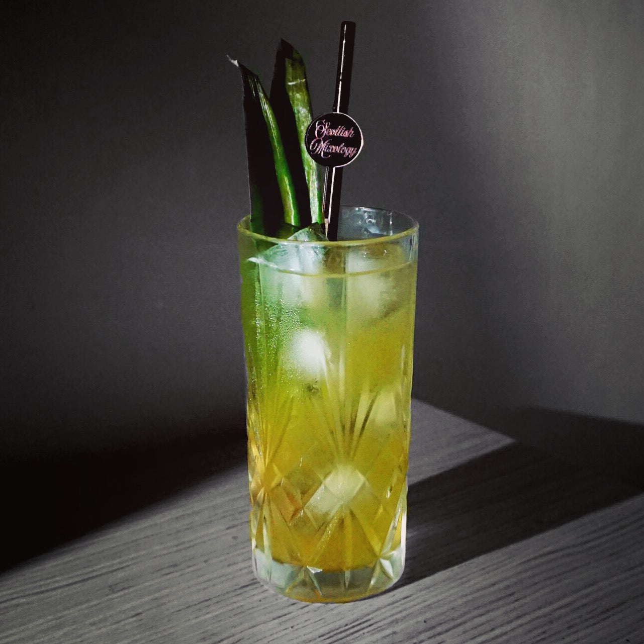 Botanical Cocktails: Classic Drinks Reimagined with Botanical Spirits ...