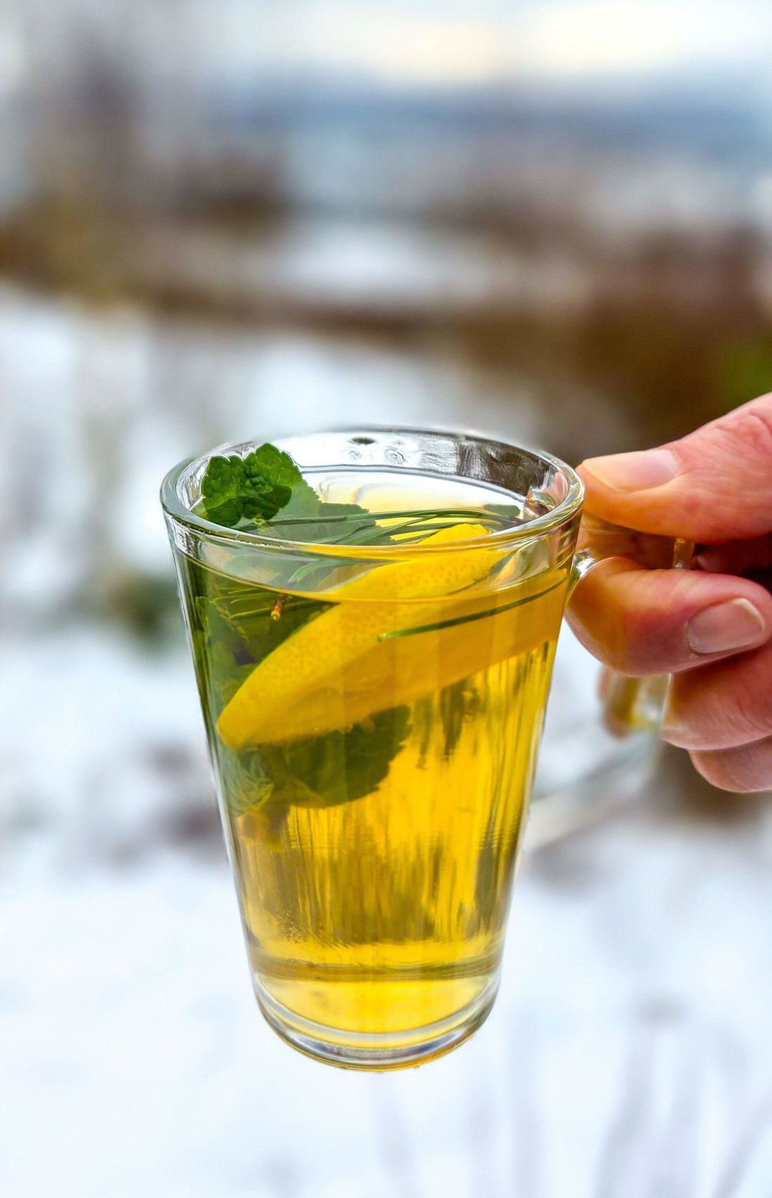 Scots Pine Hot Toddy