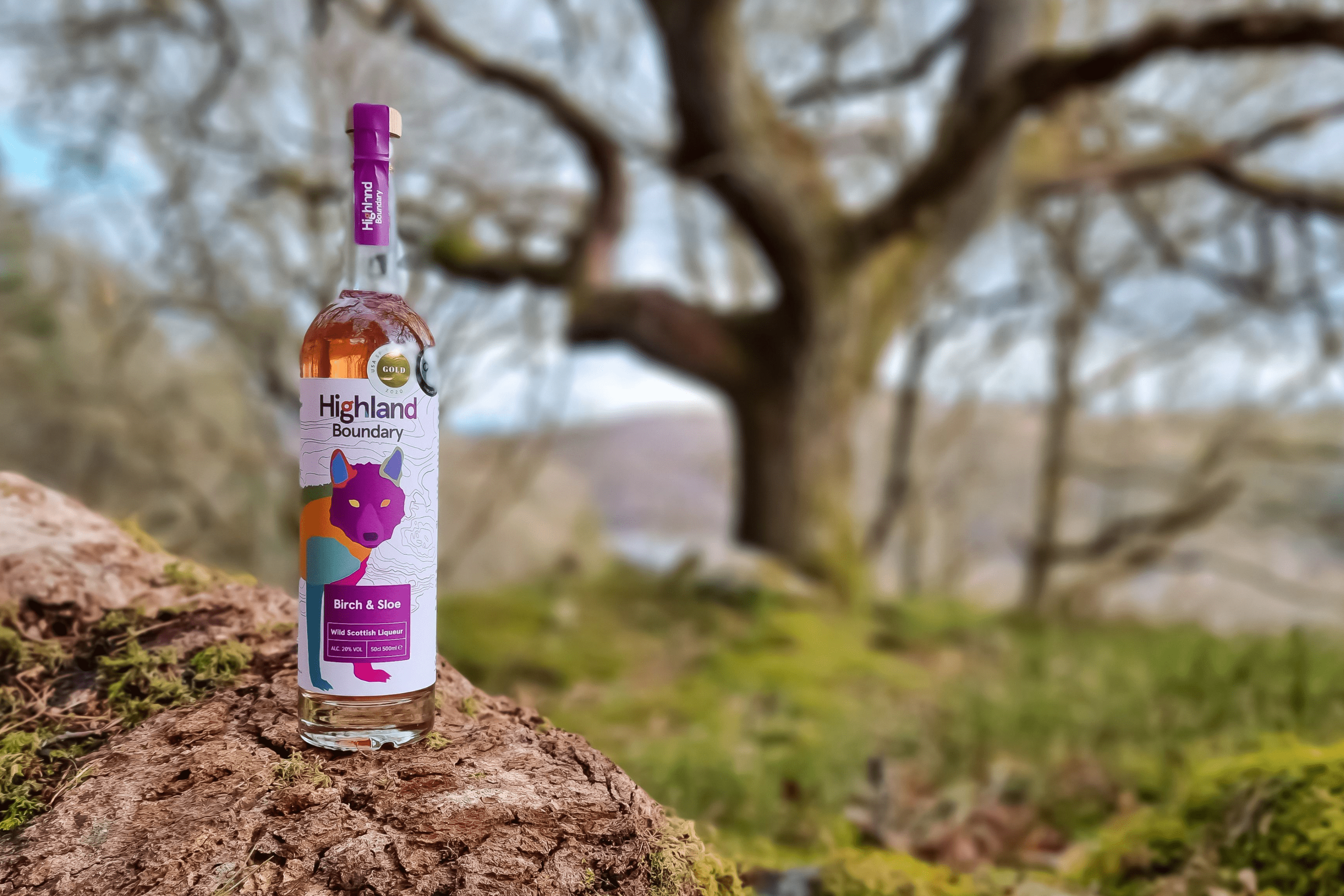 highland boundary birch and sloe spirit in nature